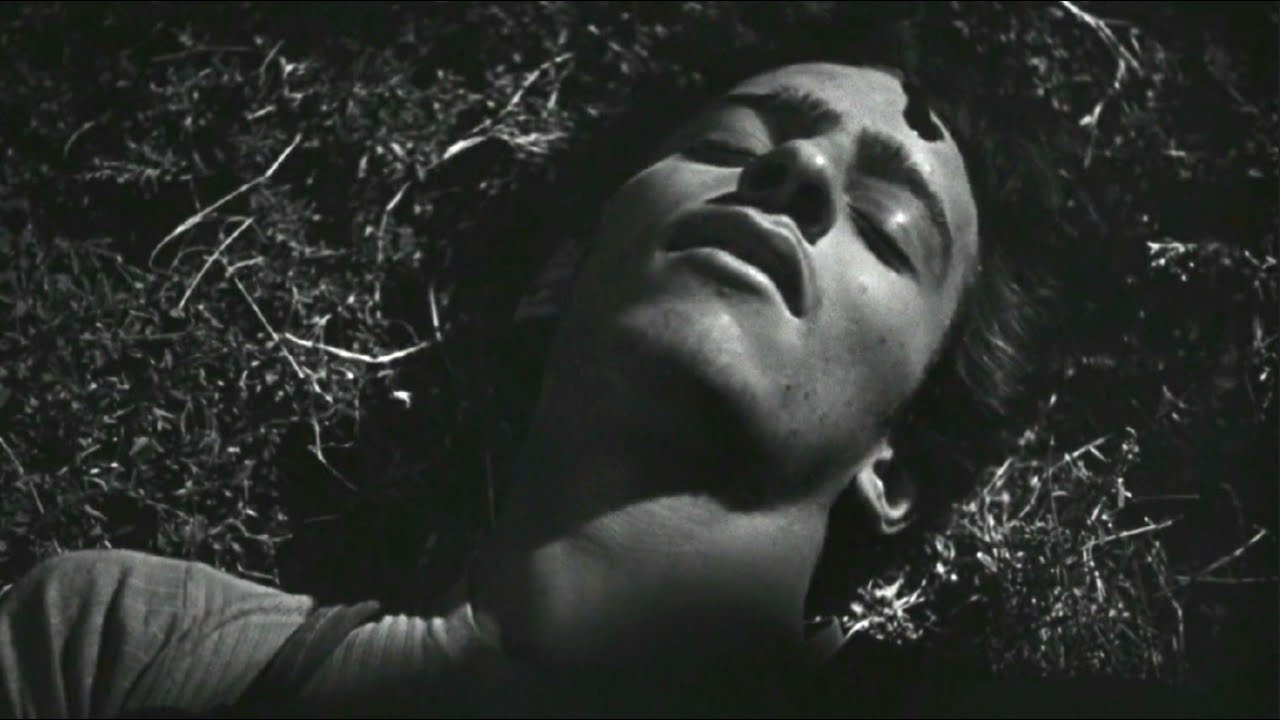 Morrissey - First Of The Gang To Die (Unofficial Video)