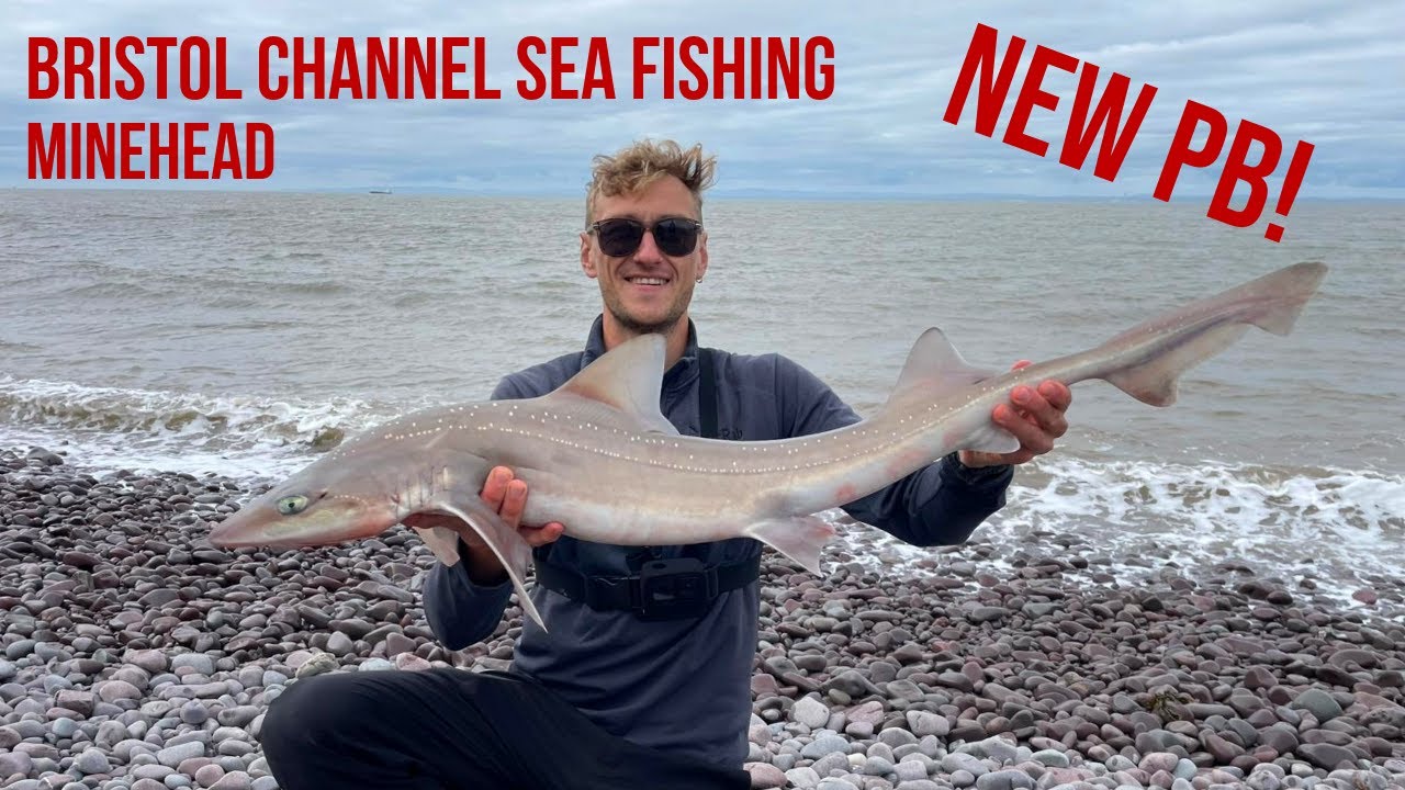 Minehead Sea Fishing | Bristol Channel | UK Shore Fishing | June 2025