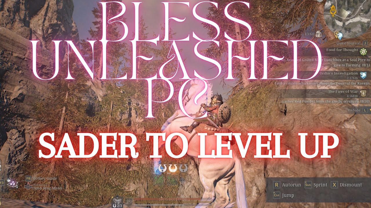Bless Unleashed PC   EU VALOR SADER |  LEVEL UP FAST
