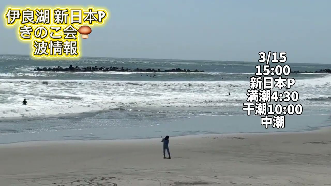 3/15 15:00 新日本P【伊良湖波情報】2026年