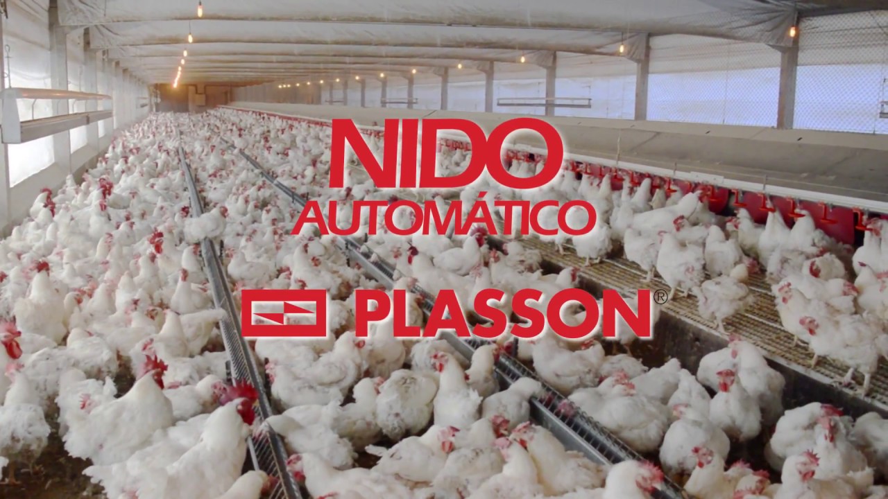 NIDO AUTOMÁTICO PLASSON