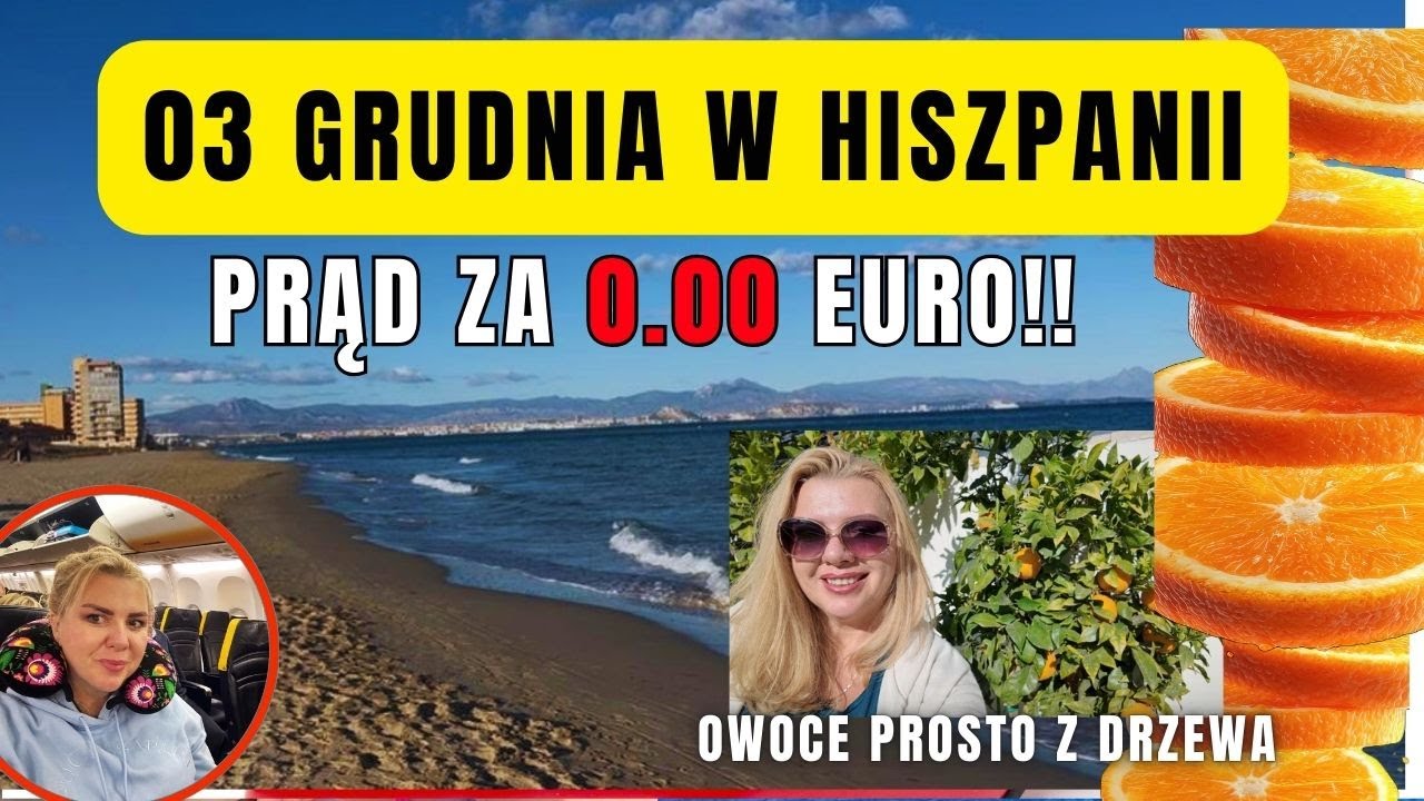 Prąd za zero złotych?! Grudzień w Hiszpanii i moje świeże owoce z ogrodu