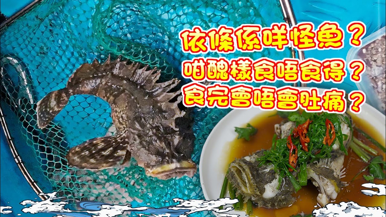 【漁人推介】 阿火帶大家出海釣魚，最近流浮山有什麼魚釣？阿火誤中怪魚？這種魚叫什麼名字？有沒有毒？能吃嗎？味道如何？帶回家一起科研 Catch and Cook Stonefish