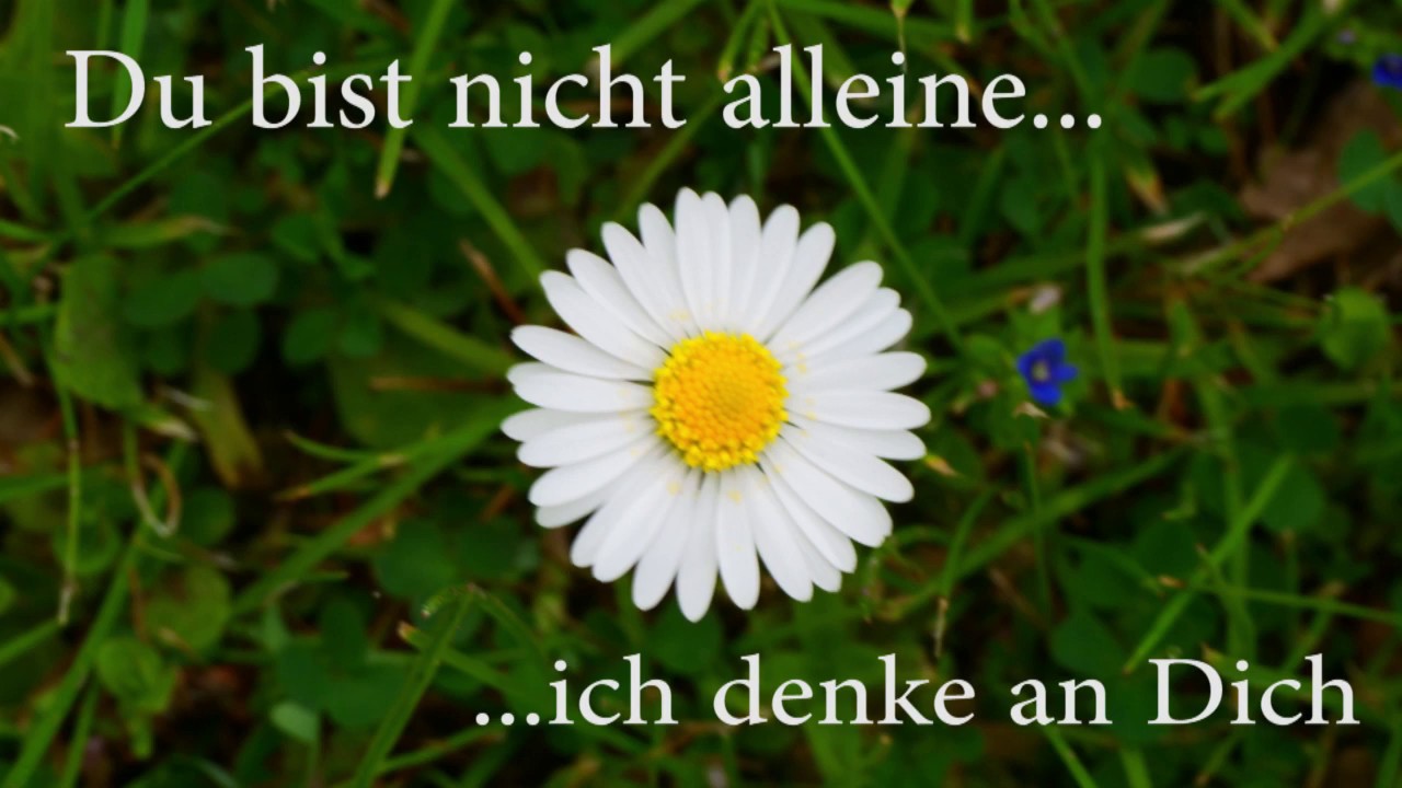 Du bist nicht alleine - ich denke an Dich