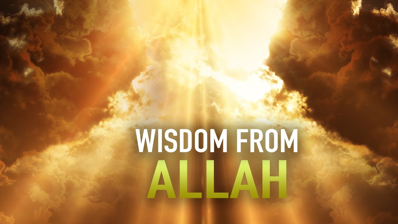 THIE PERSON WILL GET WISDOM FROM ALLAH