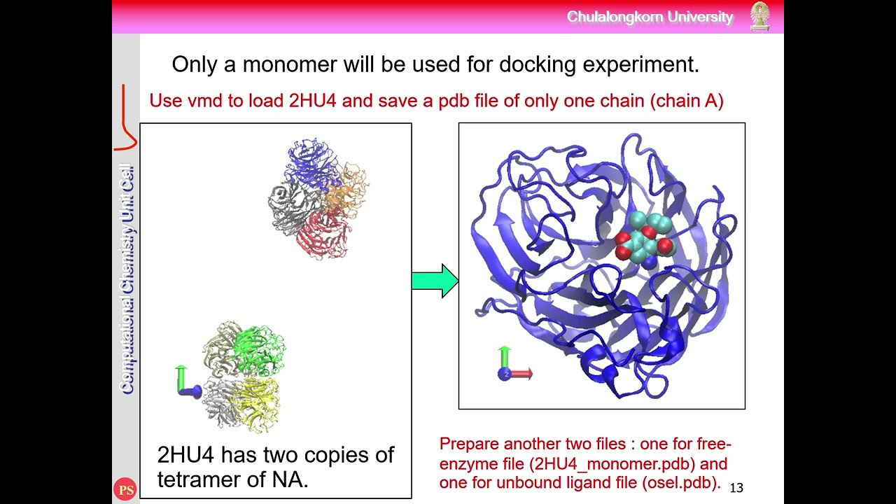 Molecular Docking Tutorial: Neuraminidase–Oseltamivir Using AutoDock Vina