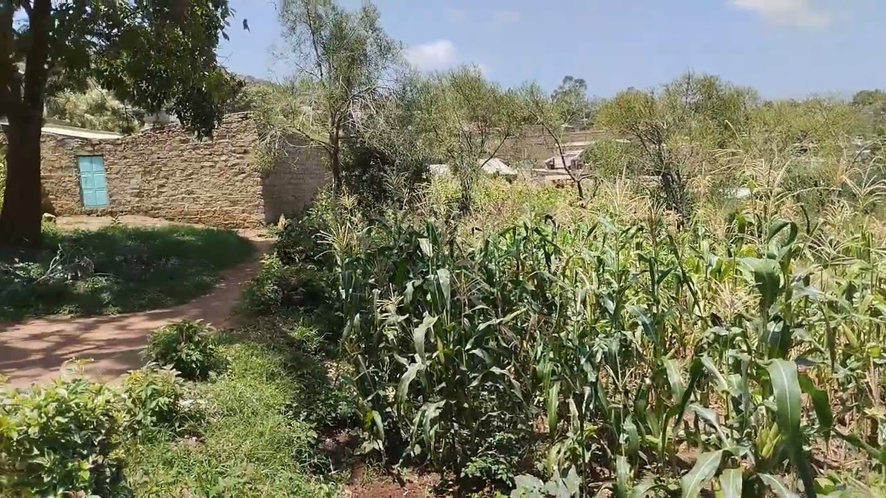 Prime 50x90 Feet Plot for Sale &ndash; Kathale Estate, Machakos Town