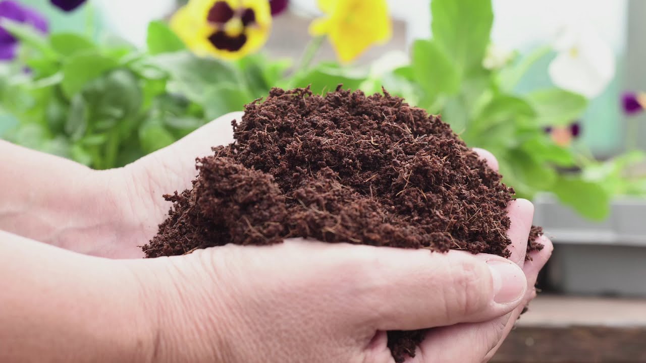 How to use Coco & Coir - Peat Free and Plastic Free Coco Coir range of compost
