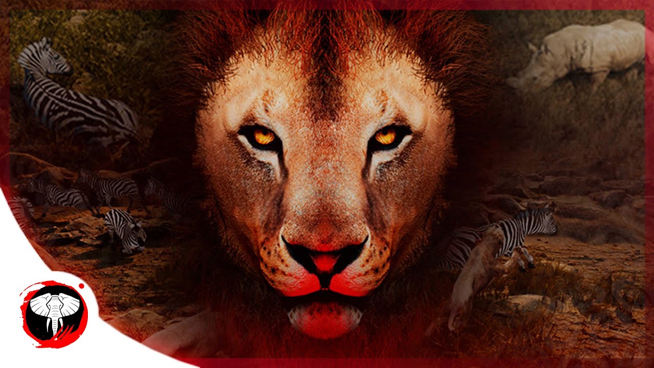 Early Access  - Animalia Survival Gameplay Trailer