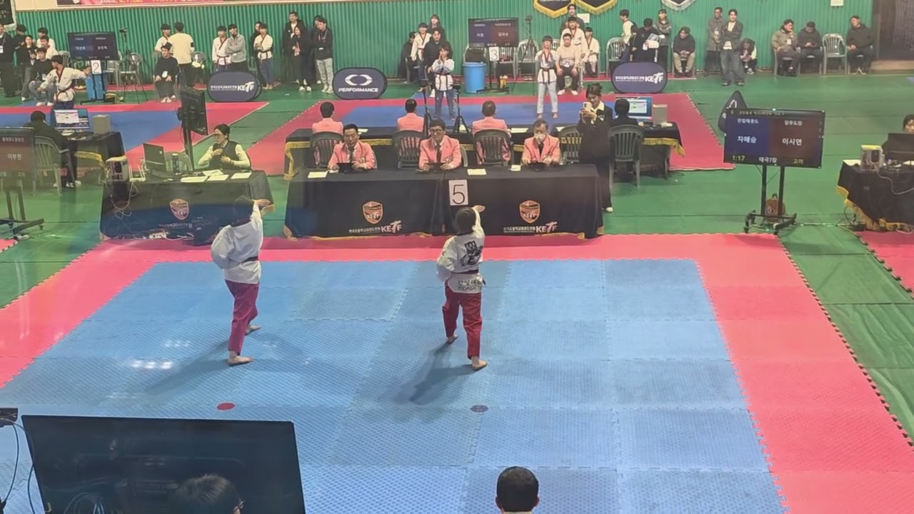 2026년 2월 7일제 5회 한국 초등 연맹 태권도 대회 개인전