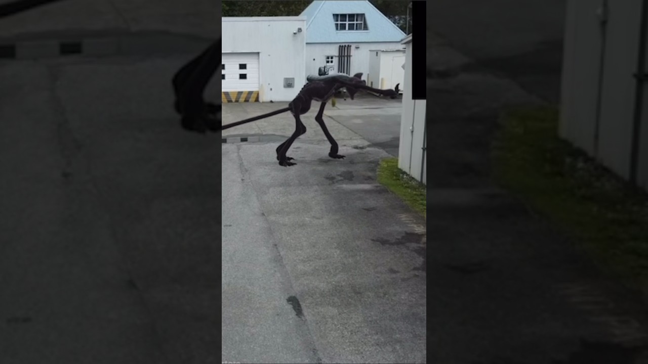 CATNAP BOSS VS PROTOTYPE CAUGHT ON DRONE