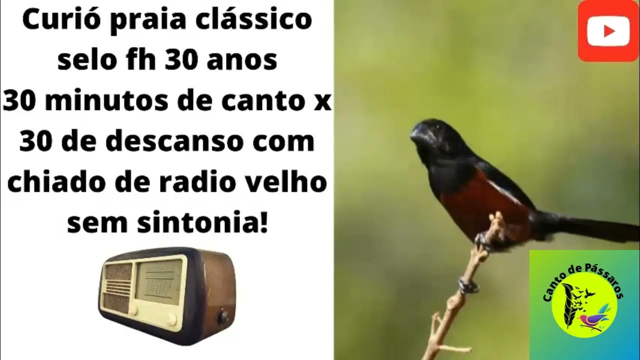 Selo Prata 30 anos FH com repetição 30x30 com barulho de chiado de radio velho