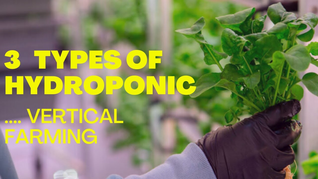 Vertical Farming 2023 | 3 Types of Hydroponic Vertical Farms