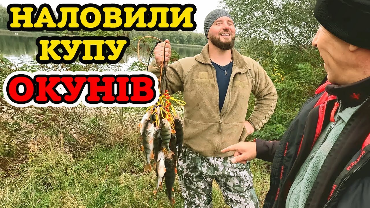 🍁 ОСІНЬ - ЧАС ЛОВИТИ ОКУНІВ 🍁