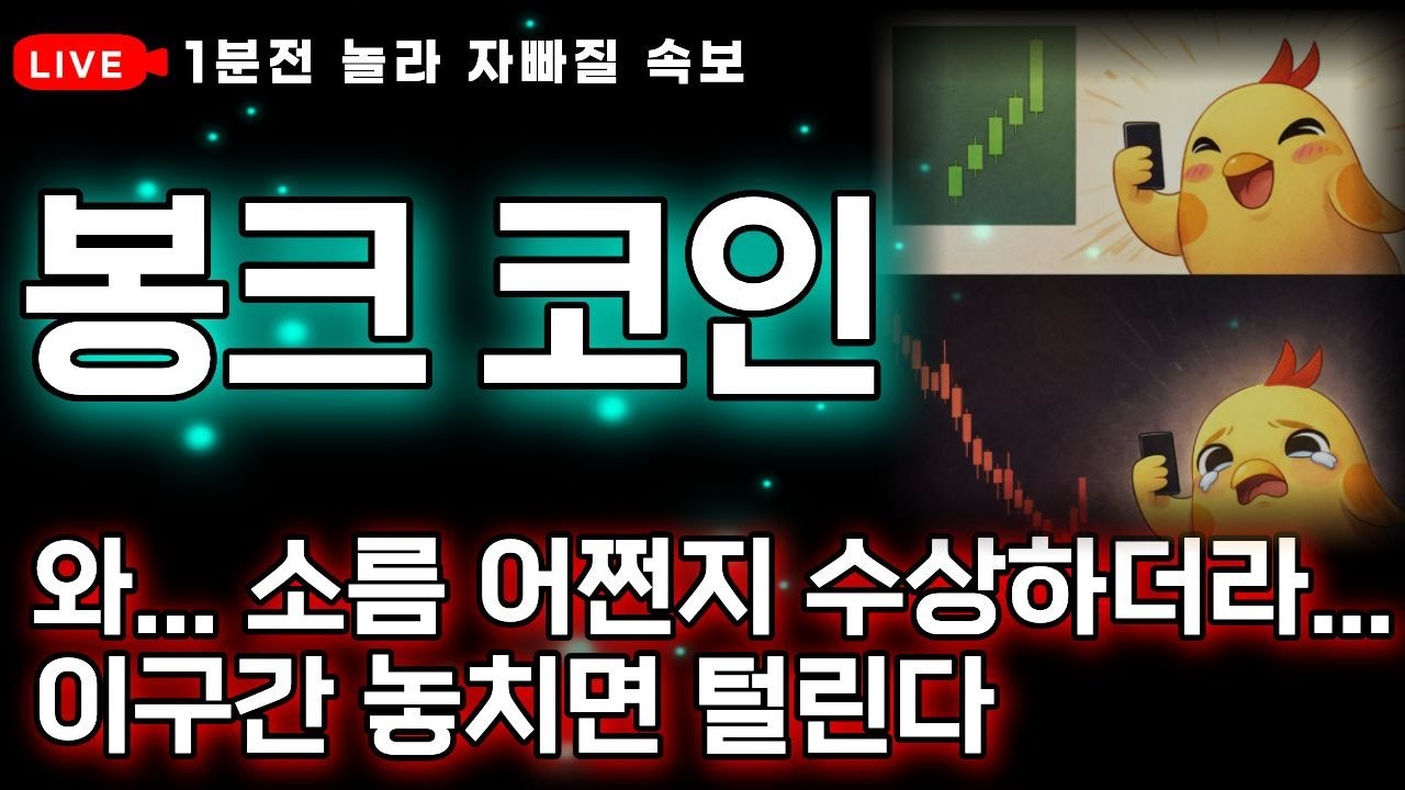 [봉크코인 전망] 💥역시 다 계획이 있었구나?