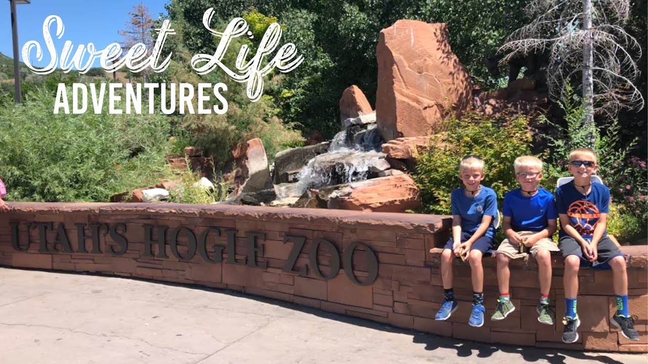 Utah's Hogle Zoo | Salt Lake City Adventures