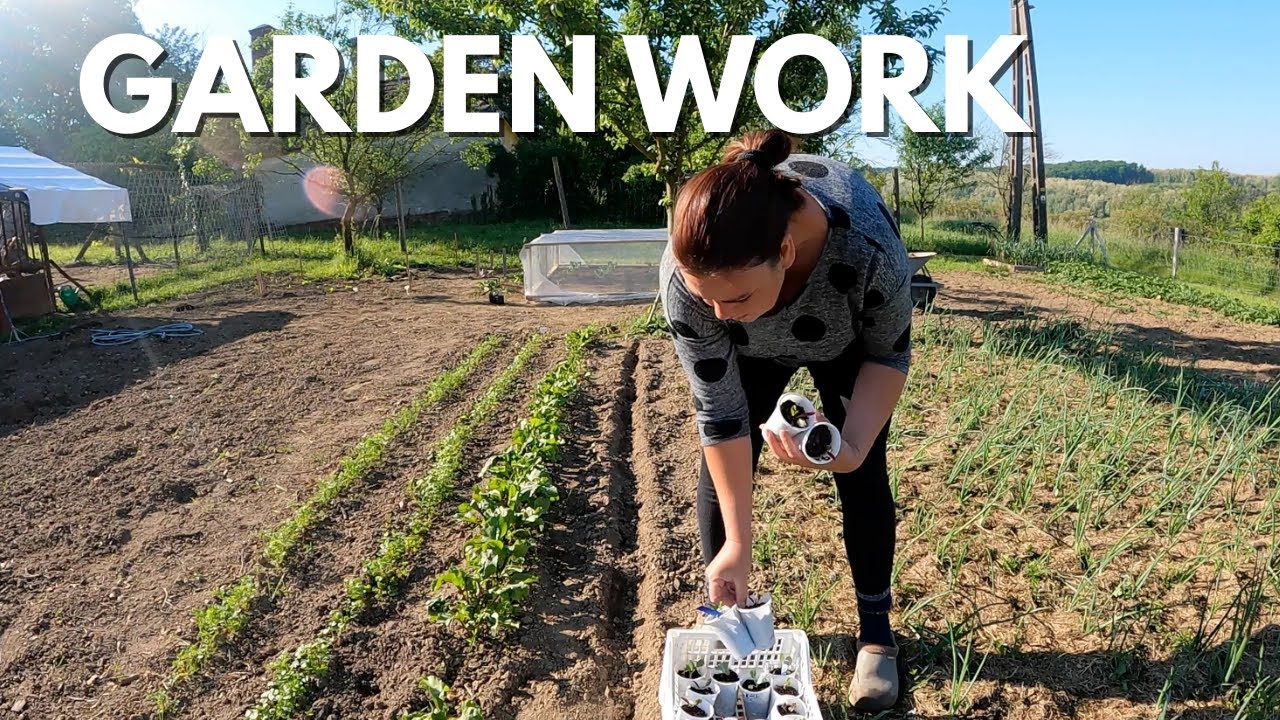 Garden Work, New Chicks & Daily Homestead Chores #vlog 20