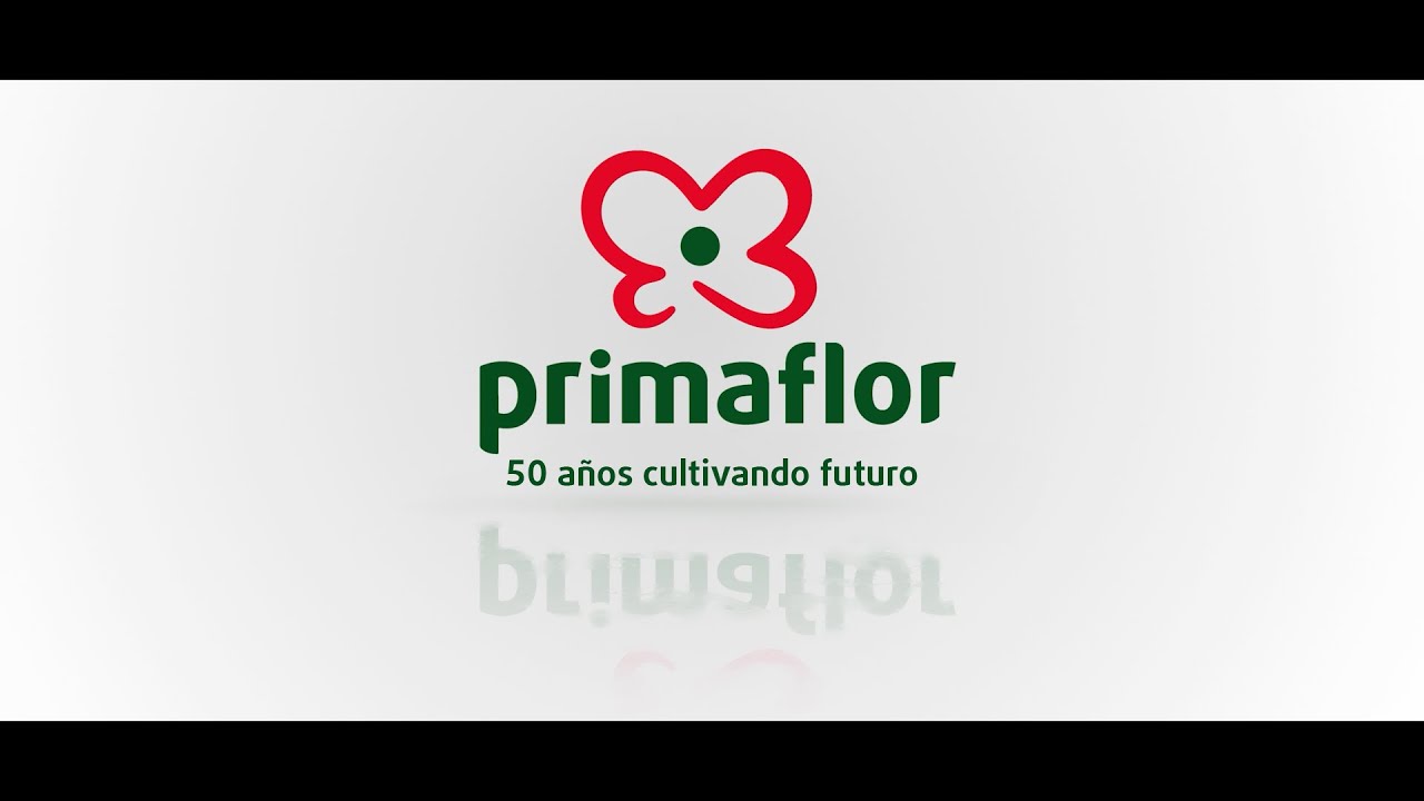 Video Corporativo Primaflor 2026 - 50 Aniversario