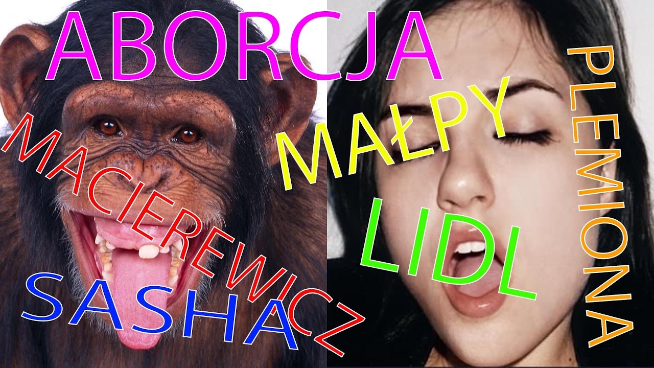 Wiadomosci eRZet Studio - #4 Aborcja, Małpy, Macierewicz, Lidl, Sasha
