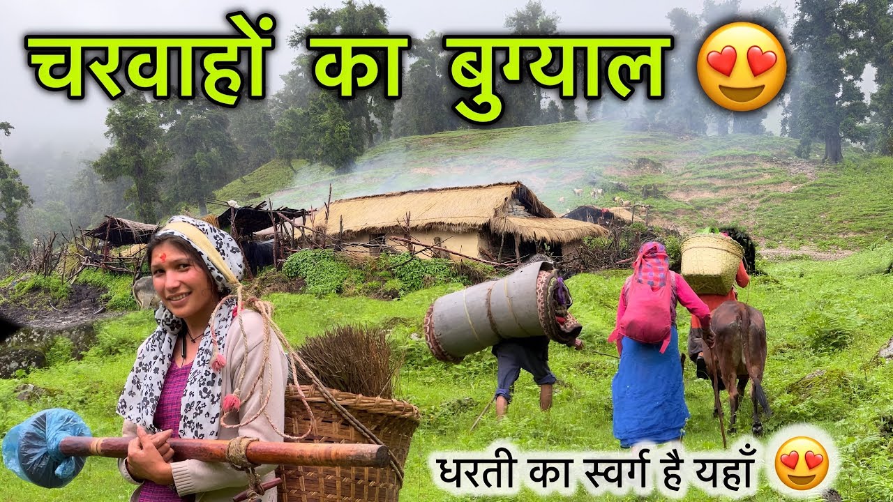 चरवाहों का पशु बुग्याल 😍 सचमुच स्वर्ग है यहाँ 😍 || Village Lifestyle || Devbhoomi Vlogs