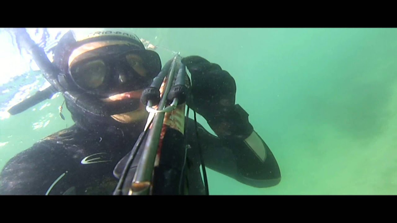 Chasse sous-marine sur Portsall