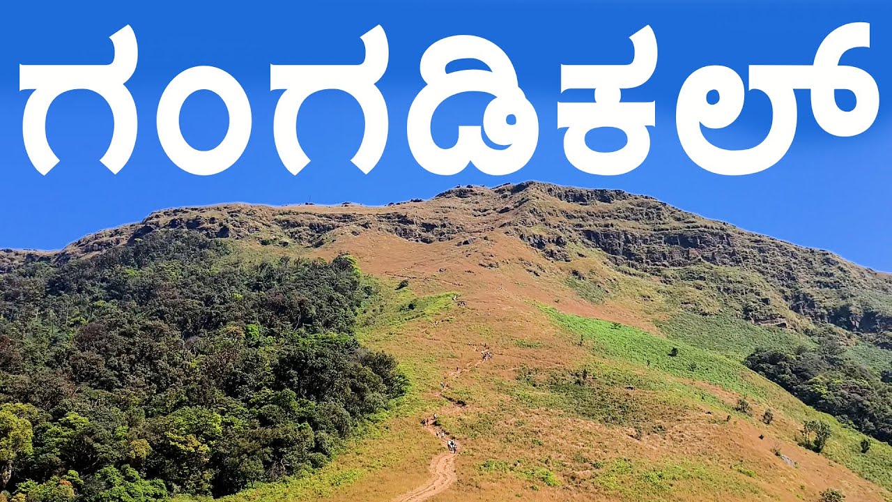Gangadikal (Gangadikallu) Trek ಗಂಗಡಿಕಲ್‌ ಚಾರಣ | ಕುದುರೆಮುಖ | Complete detail