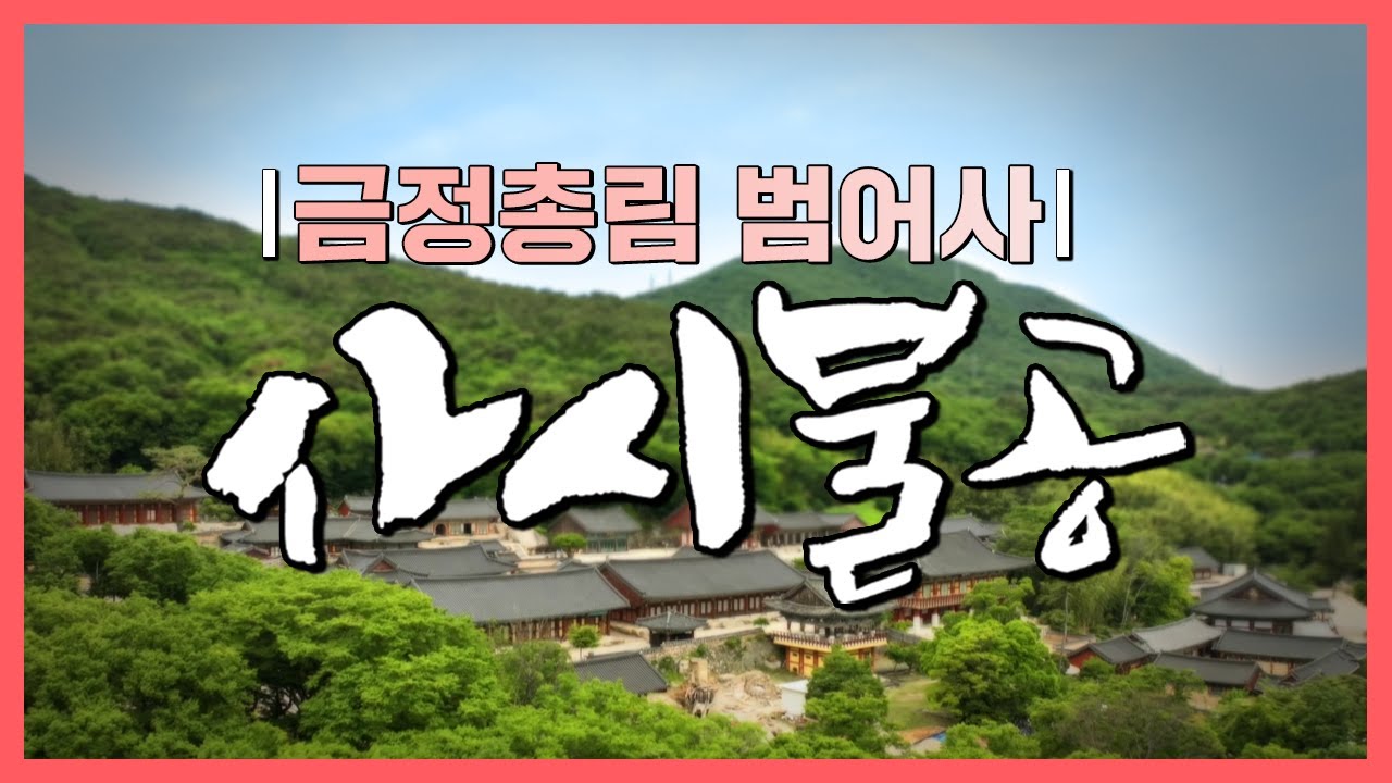 😍사시불공 - 금정총림 범어사편#고막스님단#염불#불교기도 #범어사#예불#사시예불#부산가볼만한곳 #부산명소