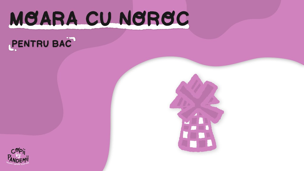 Moara cu noroc - Ioan Slavici (Bacalaureat)