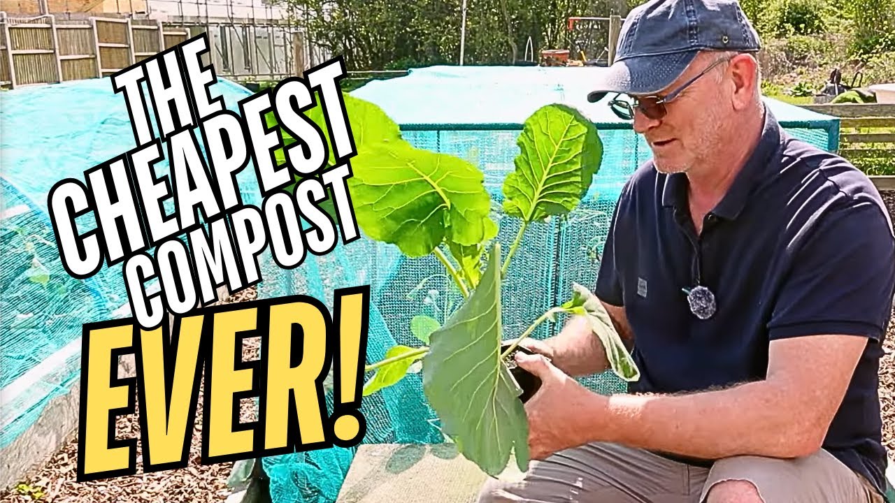I Found The CHEAPEST Compost In The UK