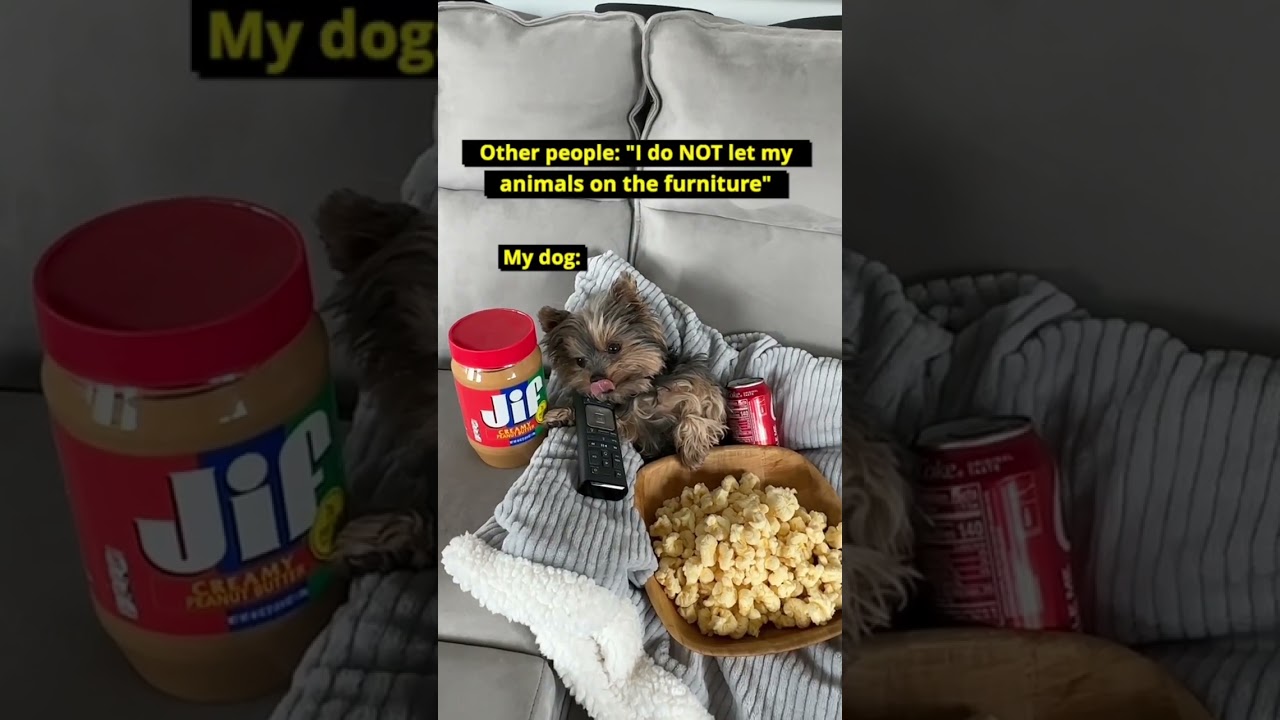 Spoiled dogs are the best! 