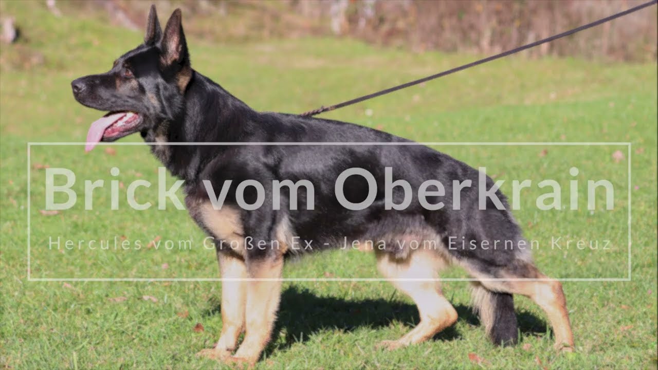 Brick vom Oberkrain