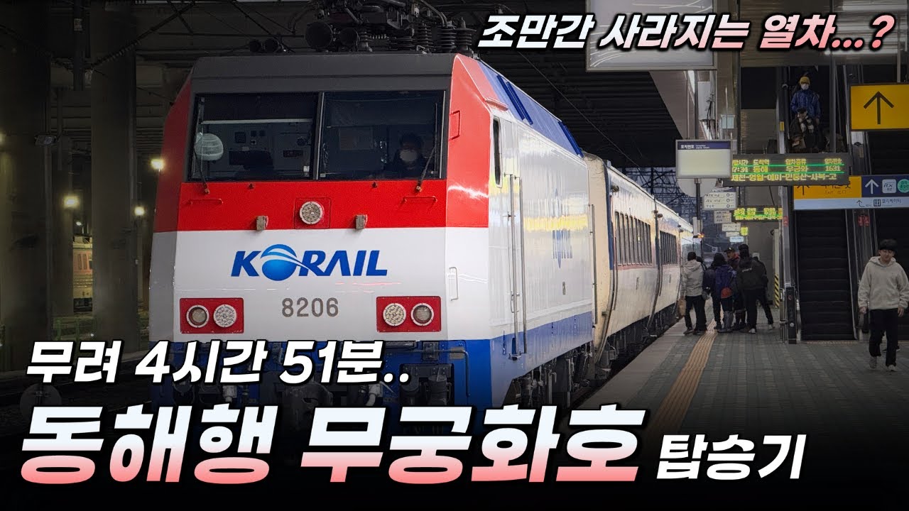 '곧 사라질지 모르는 열차..' / 소요 시간만 5시간, 동해행 무궁화호 탑승기