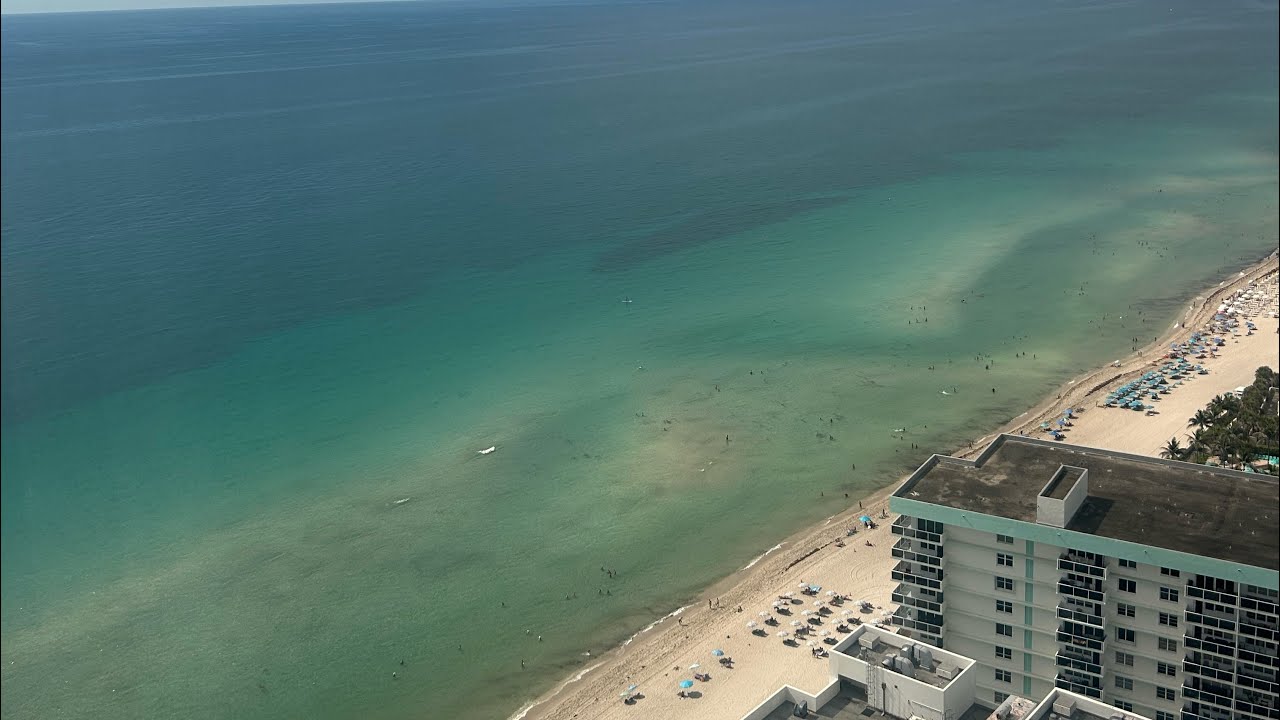 Florida Vlog: June 2025