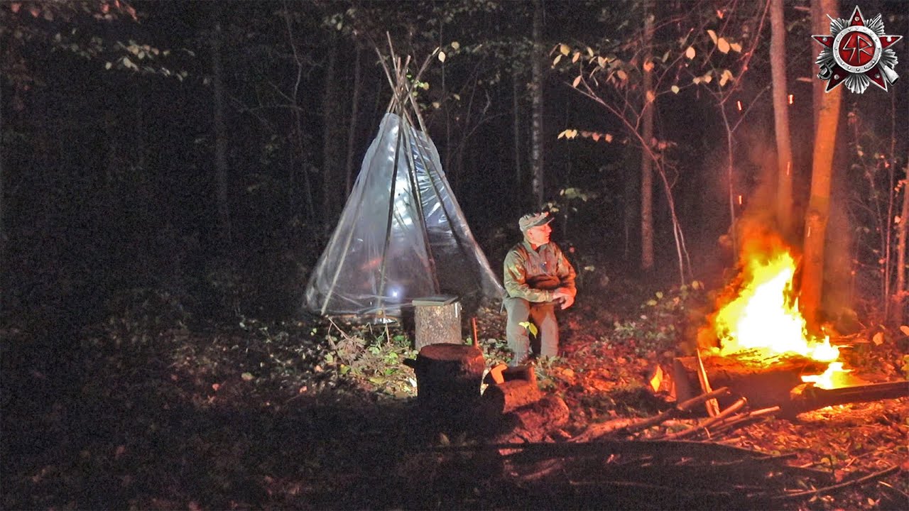 Terrible Solo-Overnight | When You Live In A Forest The Size Of Europe #survival #camping