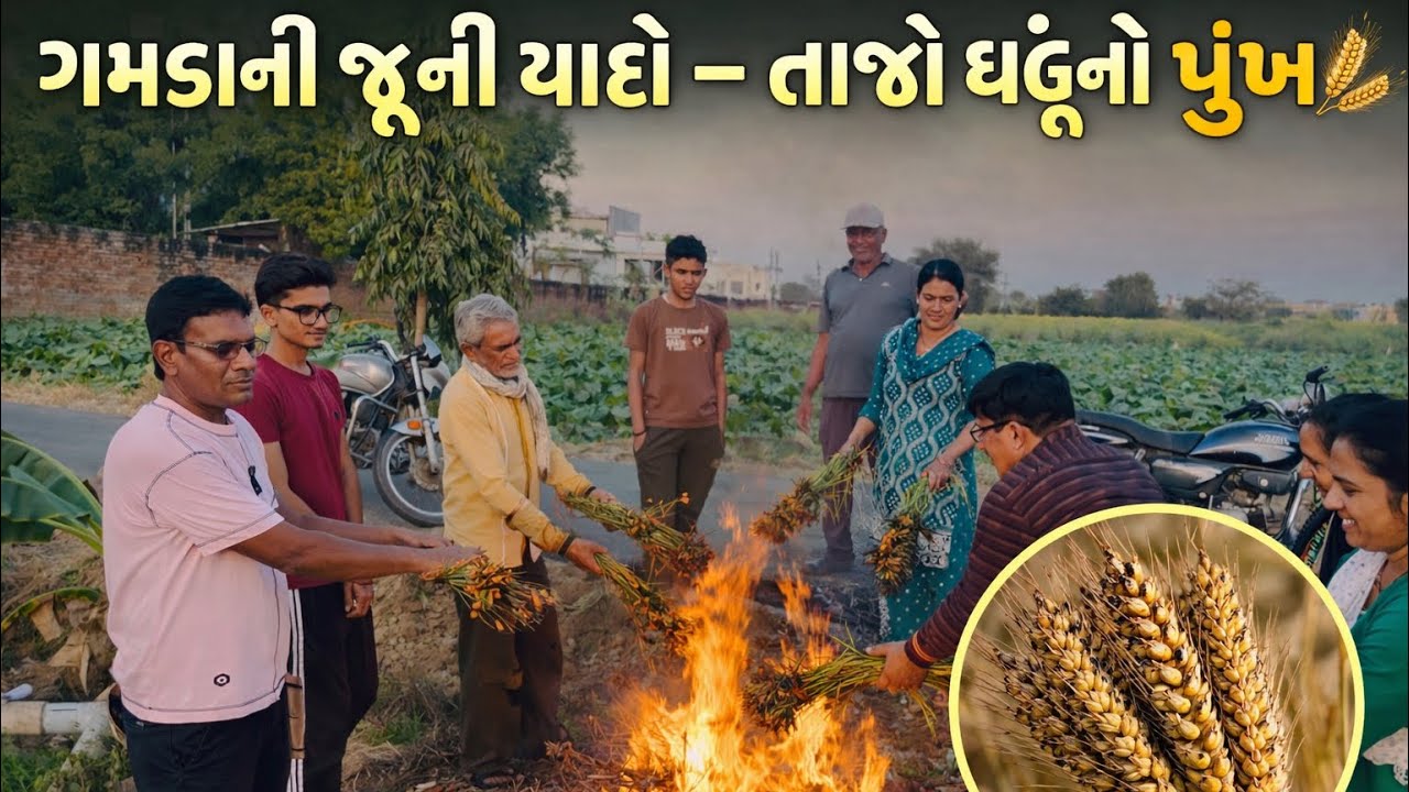 ગામડાની જૂની યાદો – ખેતરમાં બનાવ્યો તાજો ઘઉંનો પુંખ 🌾🔥