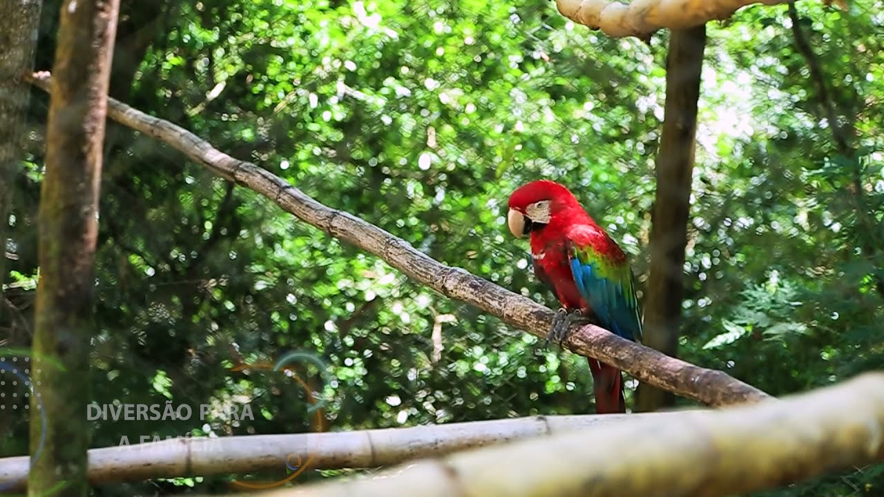 Eco Parque - It&aacute; Eco Turismo