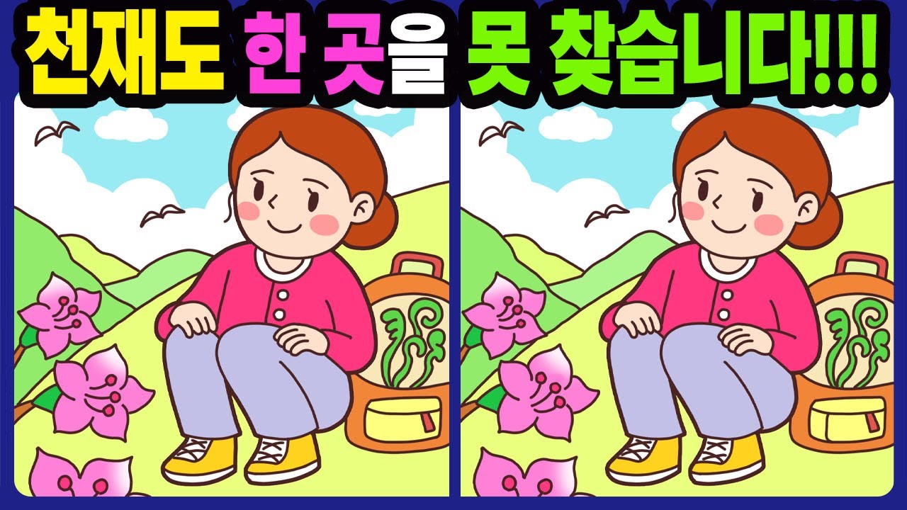【다른그림찾기/치매예방】천재도 한 곳을 못 찾습니다!【틀린그림찾기/두뇌운동/숨은그림찾기/Find the Difference/치매예방퀴즈】808