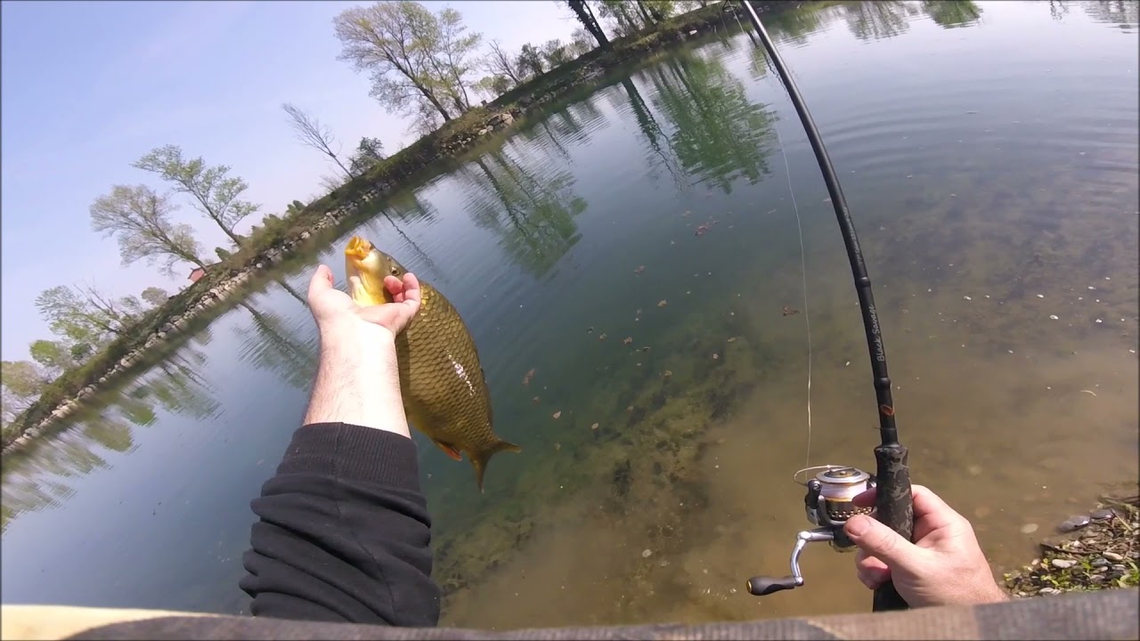pesca a spinning all oglio