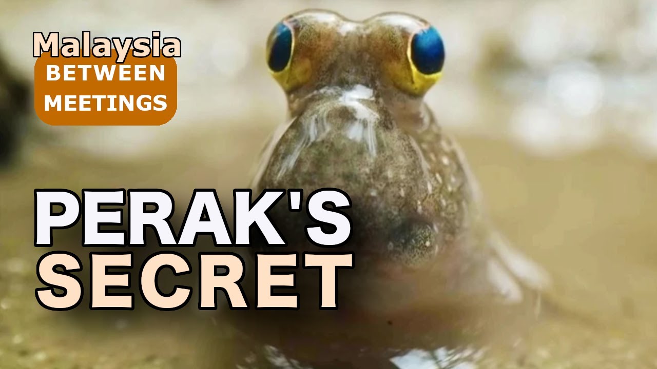Is this the best kept secret in Malaysia? Exploring the soul of Perak.