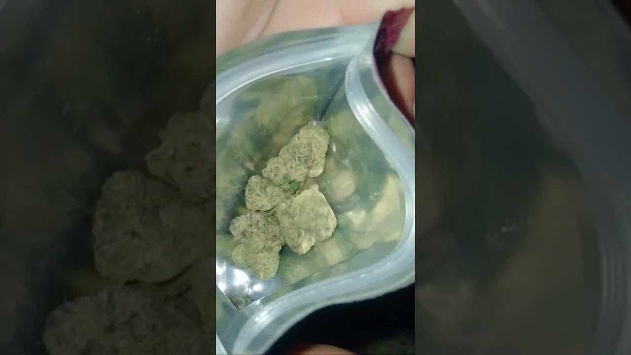 HEADSTASH - FRUIT FIGHT @HeadStashTelevision