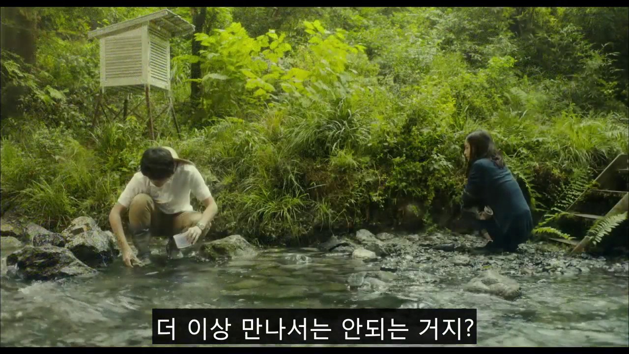 [한글자막] 일본영화 '메꽃' 최신 예고편