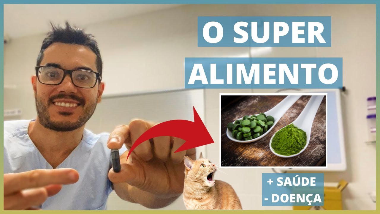 QUAL DOSAGEM USAR, COMO DAR, O QUE É E OS BENEFÍCIOS DA CHLORELLA (CLORELA) PARA CACHORROS E GATOS!