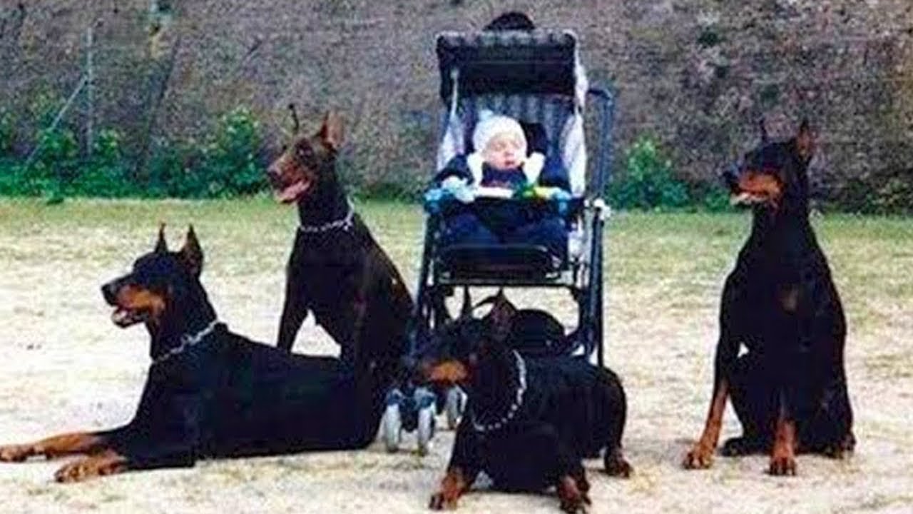 15 Most Heavily Guarded People In The World