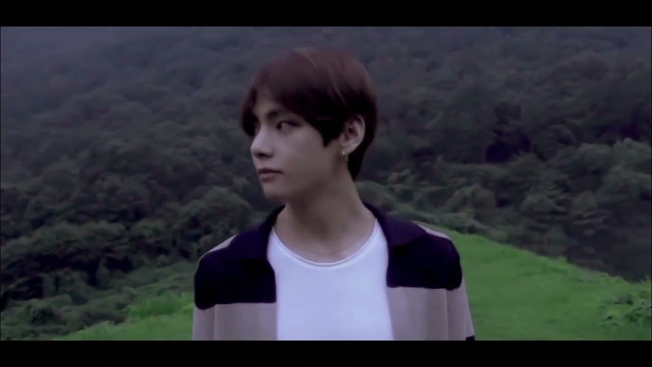 LOVE STORY SONG BY TAYLOR SWIFT TAEKOOK VERSION