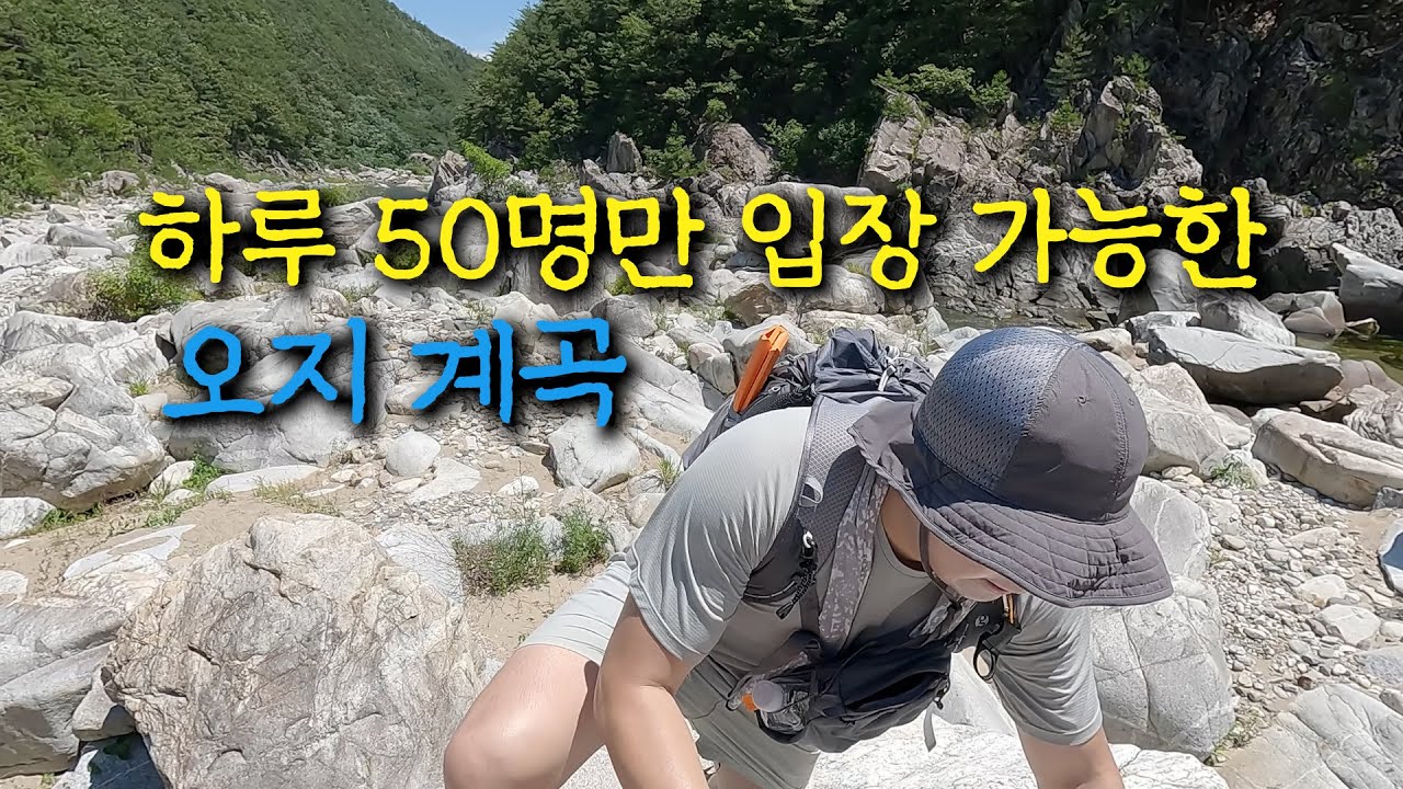 하루 50명만 입장이 가능한 오지 계곡 트레깅ㅣ울진 왕피천계곡ㅣ왕피천 봇도랑길