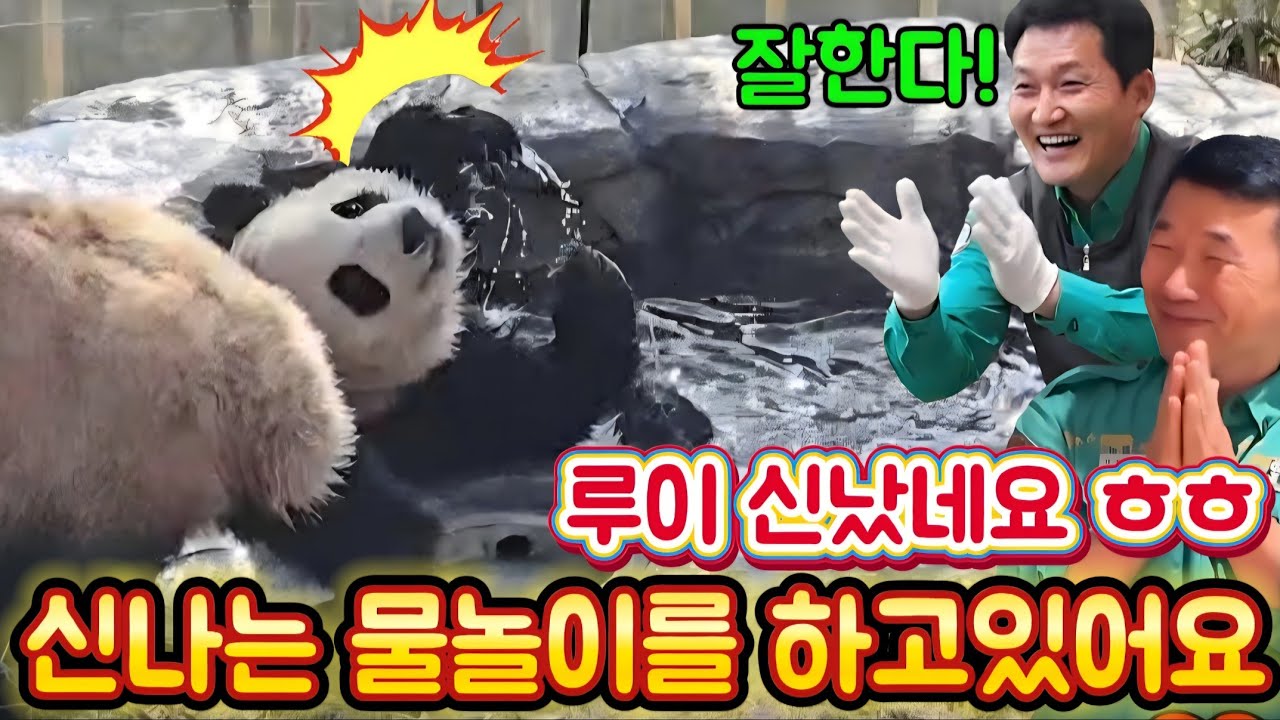 Парк панд Everland, 4 марта. Боже мой, Луи так весело играл в воде! 💦