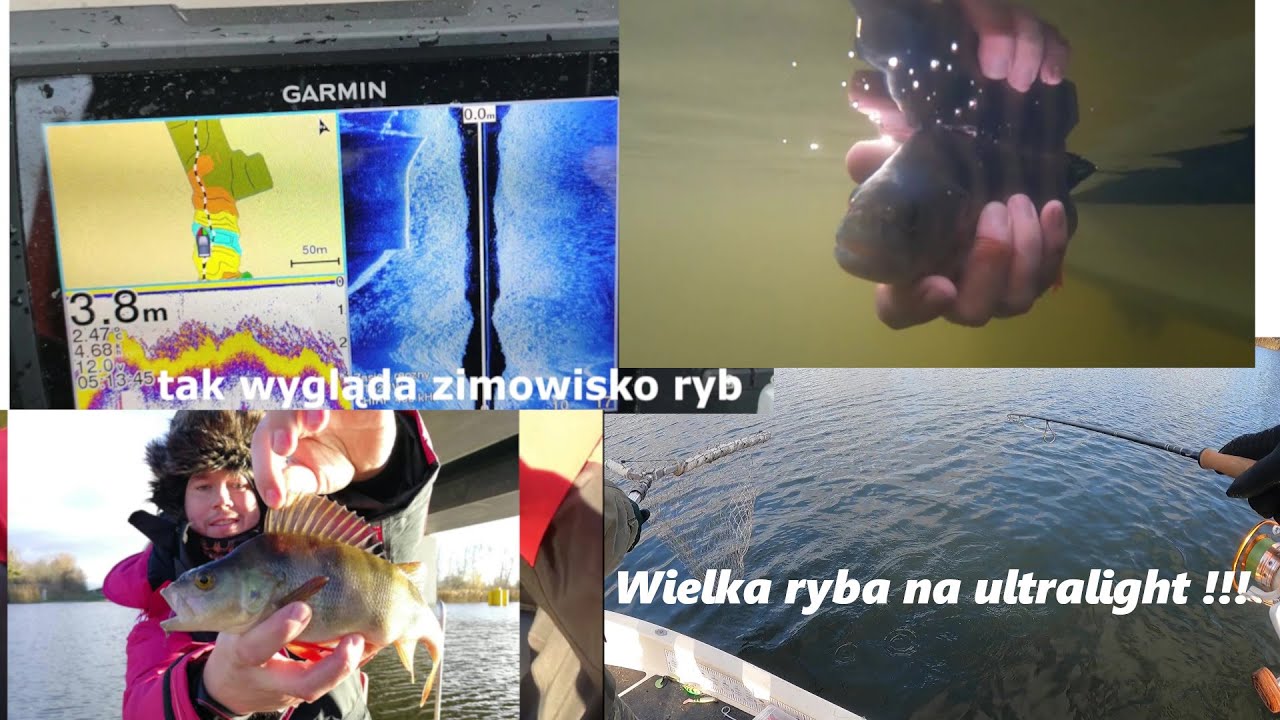 Znalazłem zimowisko ryb , Garmin Striker w akcji , hol wielkiej ryby na ultralight , okoń zima 2020