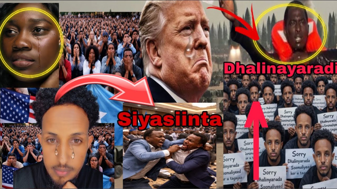 #NAXADIN🥹XOG CUSUB OO LAG HELEY DHALINAYARO SOOMALI AH OO KU GEERIYOOTEY BAD SANAD WALAB MA TACASI A