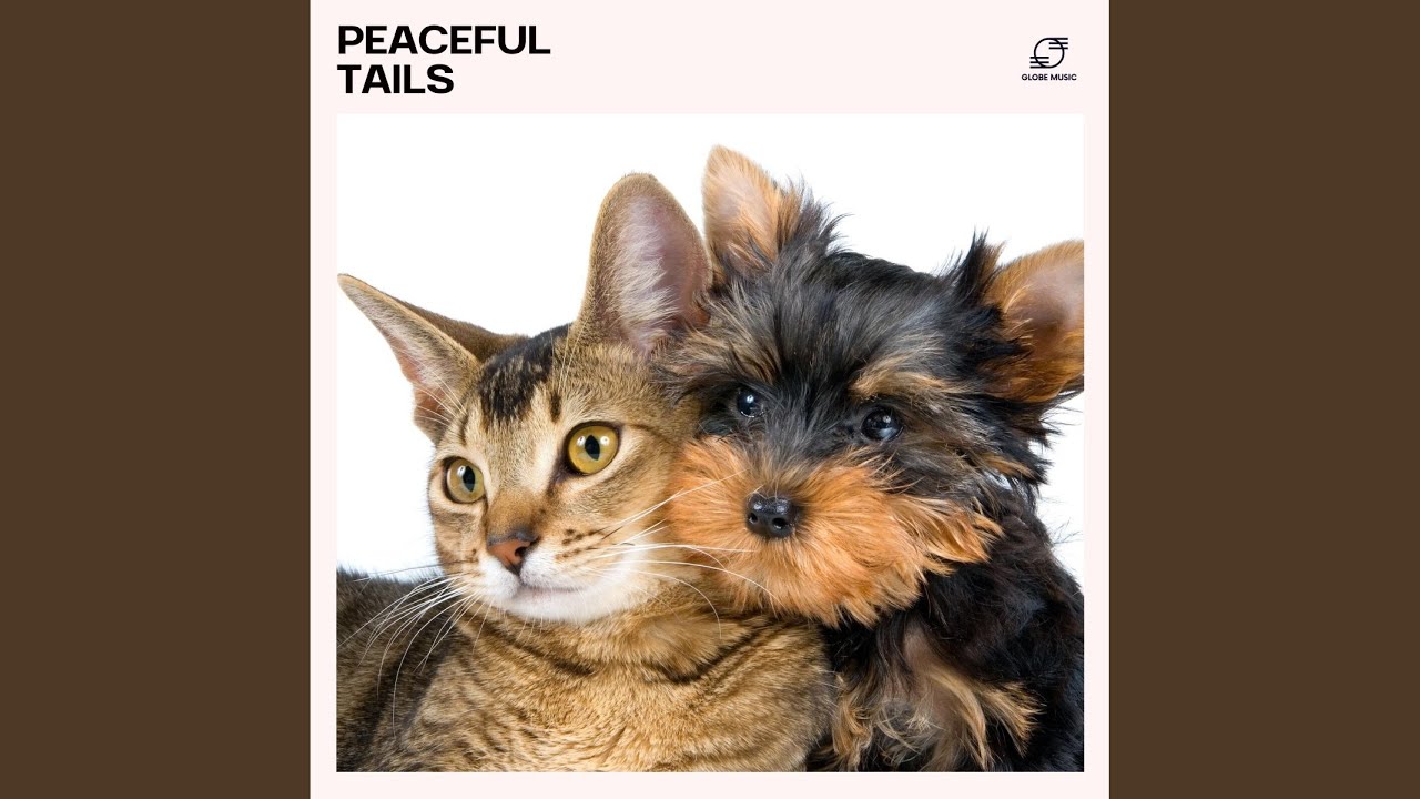 Pet Healing Music