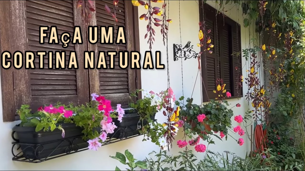 Transformei minha janela com uma cortina natural de flores 🌸 